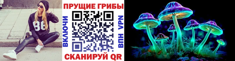 Псилоцибиновые грибы GOLDEN TEACHER  Купить где  Новотроицк 